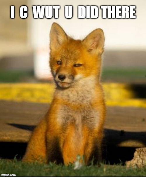 I  C  WUT  U  DID THERE | image tagged in i c wut u did there fox | made w/ Imgflip meme maker