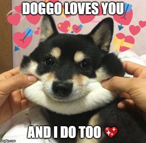 DOGGO LOVES YOU; AND I DO TOO 💖 | image tagged in doggo,love,heart,support | made w/ Imgflip meme maker