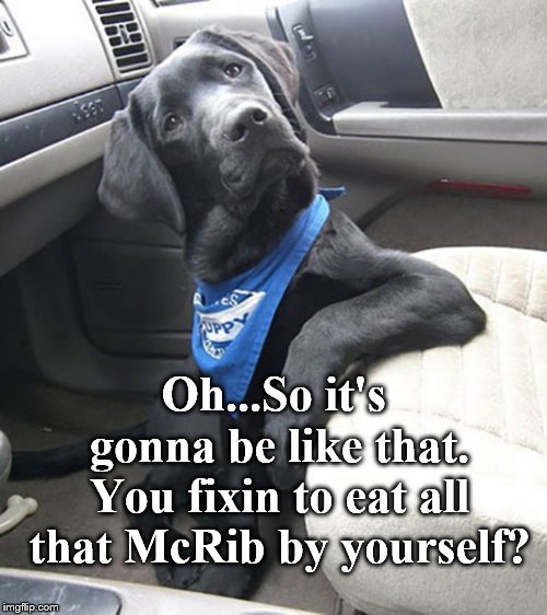 So much for "Mans Best Friend". | Oh...So it's gonna be like that. You fixin to eat all that McRib by yourself? | image tagged in treat yo self | made w/ Imgflip meme maker