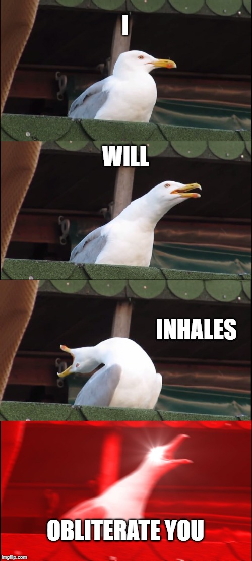 Inhaling Seagull | I; WILL; INHALES; OBLITERATE YOU | image tagged in memes,inhaling seagull | made w/ Imgflip meme maker