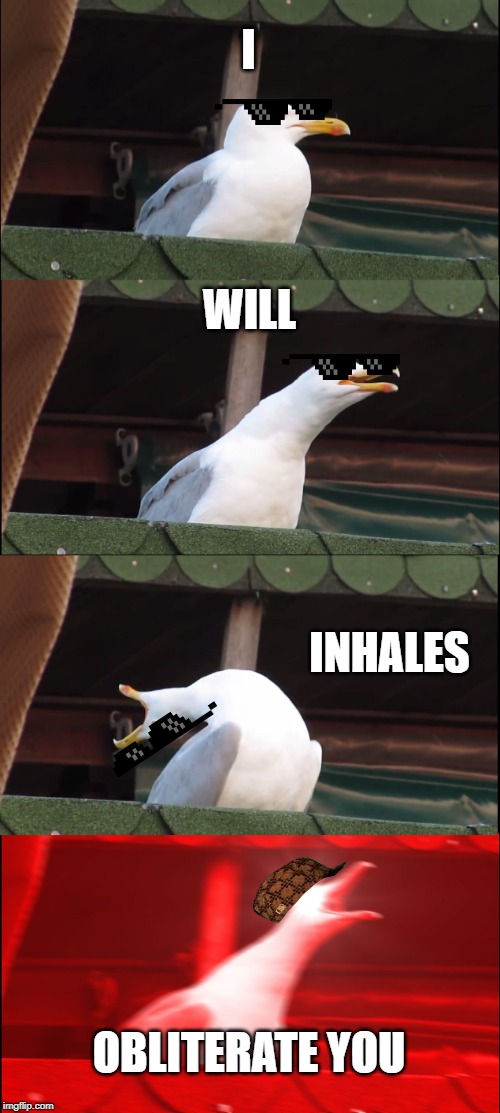 Inhaling Seagull | I; WILL; INHALES; OBLITERATE YOU | image tagged in memes,inhaling seagull | made w/ Imgflip meme maker