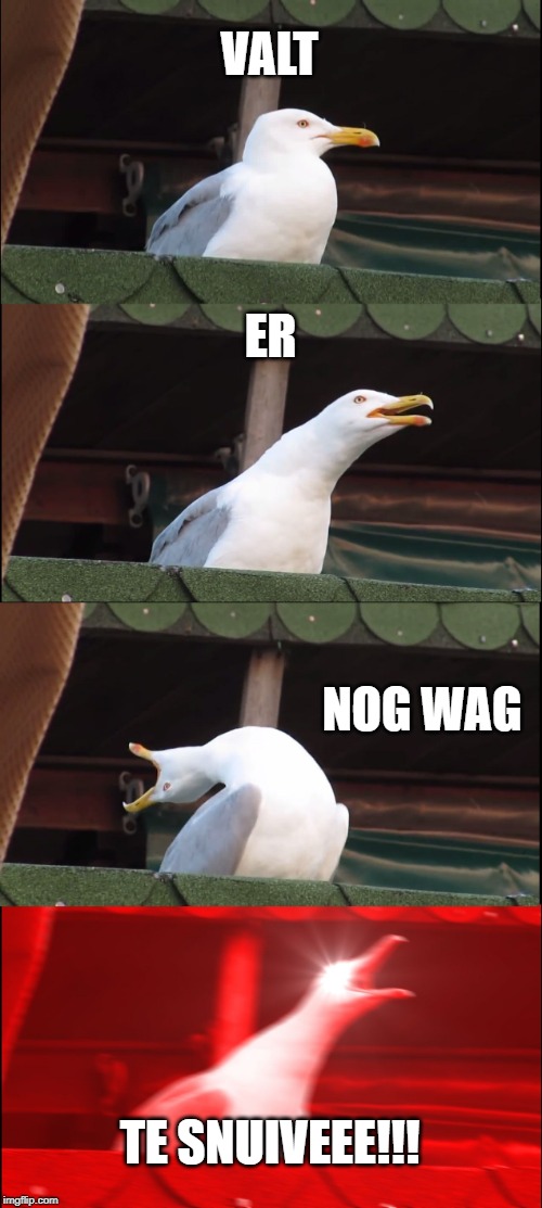 Inhaling Seagull Meme | VALT; ER; NOG WAG; TE SNUIVEEE!!! | image tagged in memes,inhaling seagull | made w/ Imgflip meme maker