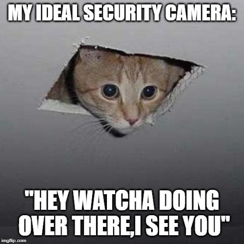Ceiling Cat | MY IDEAL SECURITY CAMERA:; "HEY WATCHA DOING OVER THERE,I SEE YOU" | image tagged in memes,ceiling cat | made w/ Imgflip meme maker