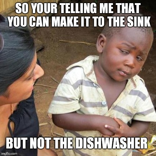 Third World Skeptical Kid Meme | SO YOUR TELLING ME THAT YOU CAN MAKE IT TO THE SINK; BUT NOT THE DISHWASHER | image tagged in memes,third world skeptical kid | made w/ Imgflip meme maker