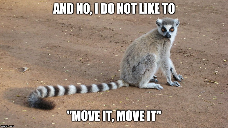 Move it! |  AND NO, I DO NOT LIKE TO; "MOVE IT, MOVE IT" | image tagged in memes,lemur,madagascar | made w/ Imgflip meme maker