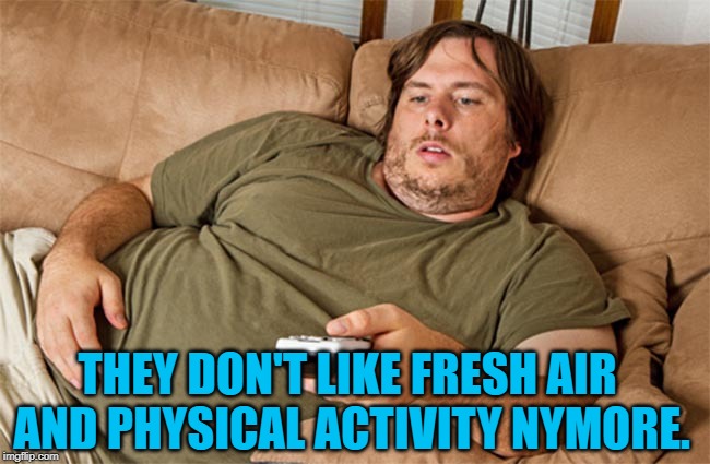 couch potato | THEY DON'T LIKE FRESH AIR AND PHYSICAL ACTIVITY NYMORE. | image tagged in couch potato | made w/ Imgflip meme maker