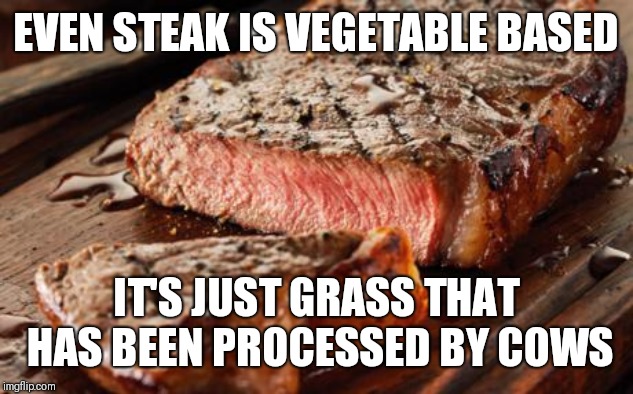 Steak | EVEN STEAK IS VEGETABLE BASED IT'S JUST GRASS THAT HAS BEEN PROCESSED BY COWS | image tagged in steak | made w/ Imgflip meme maker