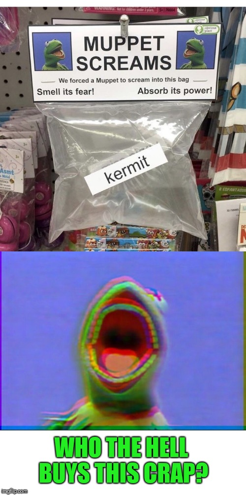 WHO THE HELL BUYS THIS CRAP? | image tagged in kermit scream,stupid products | made w/ Imgflip meme maker