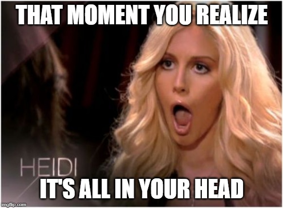 So Much Drama Meme | THAT MOMENT YOU REALIZE; IT'S ALL IN YOUR HEAD | image tagged in memes,so much drama | made w/ Imgflip meme maker