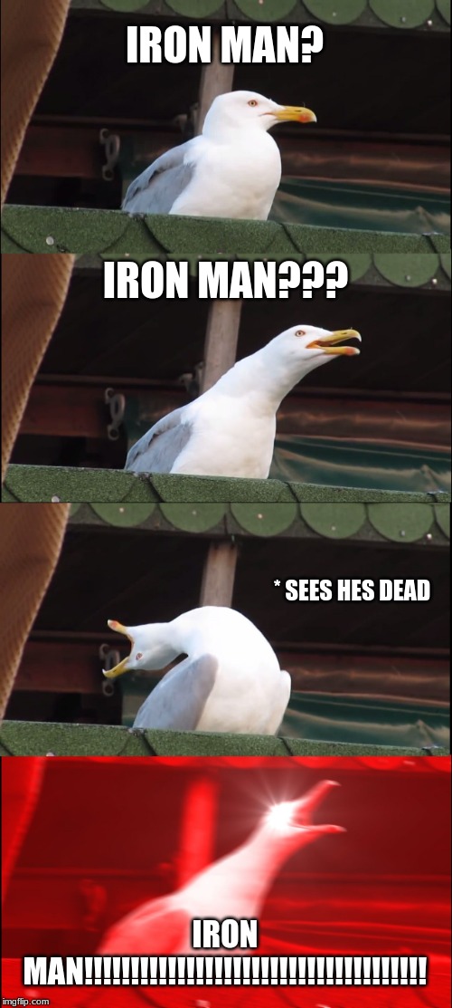 Inhaling Seagull |  IRON MAN? IRON MAN??? * SEES HES DEAD; IRON MAN!!!!!!!!!!!!!!!!!!!!!!!!!!!!!!!!!!!!! | image tagged in memes,inhaling seagull | made w/ Imgflip meme maker