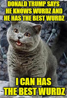 I can has wurdz | DONALD TRUMP SAYS HE KNOWS WURDZ AND HE HAS THE BEST WURDZ; I CAN HAS THE BEST WURDZ | image tagged in i can has cheezburger cat,wurdz | made w/ Imgflip meme maker