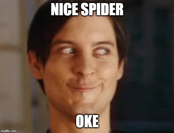 Spiderman Peter Parker Meme | NICE SPIDER; OKE | image tagged in memes,spiderman peter parker,spider | made w/ Imgflip meme maker