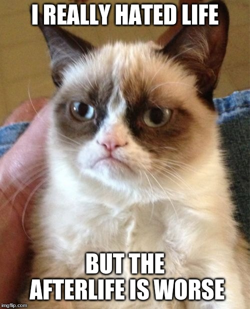 Grumpy Cat Meme |  I REALLY HATED LIFE; BUT THE AFTERLIFE IS WORSE | image tagged in memes,grumpy cat | made w/ Imgflip meme maker
