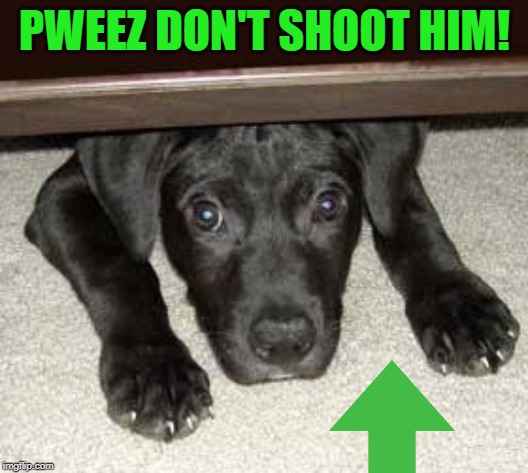 PWEEZ DON'T SHOOT HIM! | made w/ Imgflip meme maker