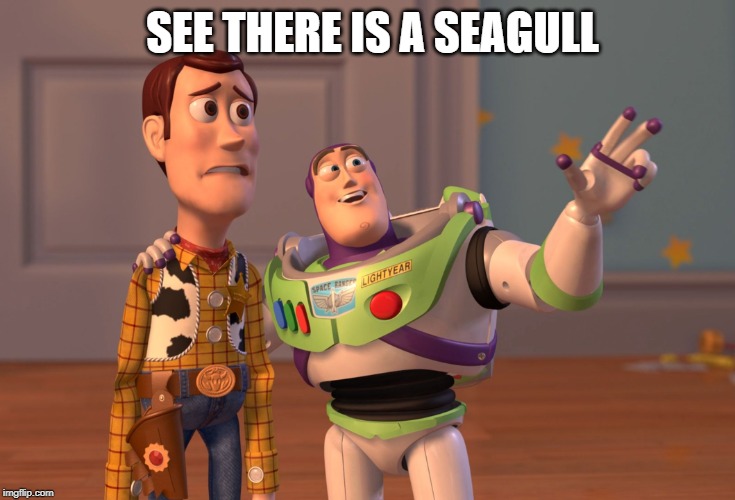 X, X Everywhere Meme | SEE THERE IS A SEAGULL | image tagged in memes,x x everywhere,inhaling seagull 4 red | made w/ Imgflip meme maker