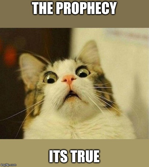 Scared Cat Meme | THE PROPHECY; ITS TRUE | image tagged in memes,scared cat | made w/ Imgflip meme maker