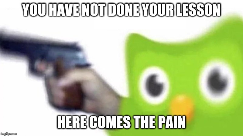duolingo gun | YOU HAVE NOT DONE YOUR LESSON; HERE COMES THE PAIN | image tagged in duolingo gun | made w/ Imgflip meme maker