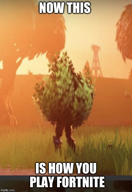 Fortnite bush | NOW THIS; IS HOW YOU PLAY FORTNITE | image tagged in fortnite bush | made w/ Imgflip meme maker