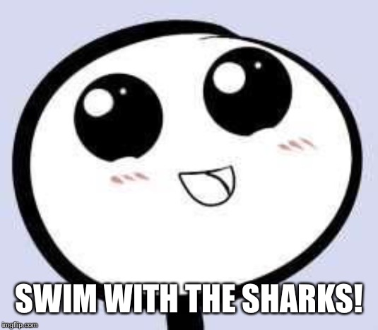 just cute | SWIM WITH THE SHARKS! | image tagged in just cute | made w/ Imgflip meme maker