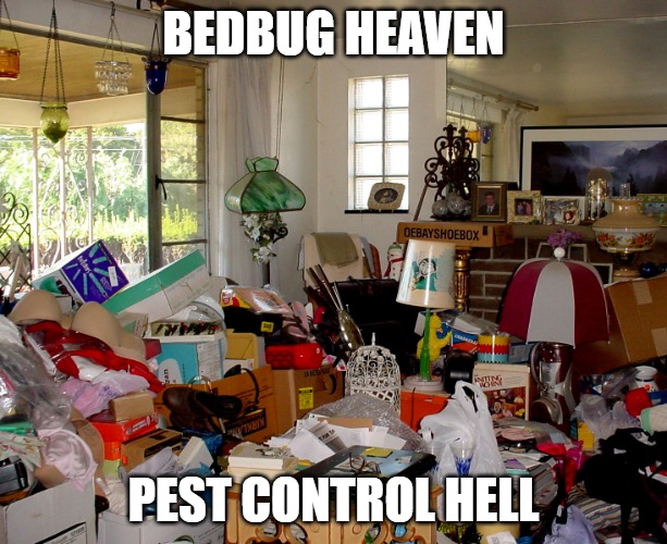 Bedbug Heaven | BEDBUG HEAVEN; PEST CONTROL HELL | image tagged in cluttered room,hell of a mess,hoarders,hoarding,useless stuff | made w/ Imgflip meme maker