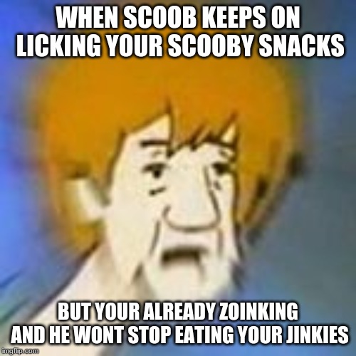 Shaggy Dank Meme | WHEN SCOOB KEEPS ON LICKING YOUR SCOOBY SNACKS; BUT YOUR ALREADY ZOINKING AND HE WONT STOP EATING YOUR JINKIES | image tagged in shaggy dank meme | made w/ Imgflip meme maker