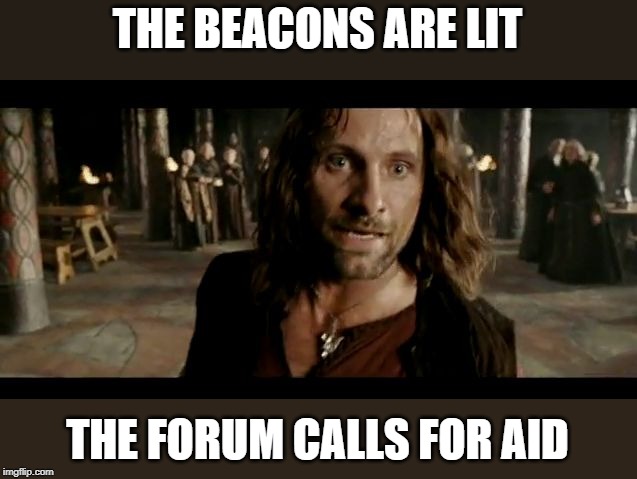 The Beacons Are Lit | THE BEACONS ARE LIT; THE FORUM CALLS FOR AID | image tagged in the beacons are lit | made w/ Imgflip meme maker