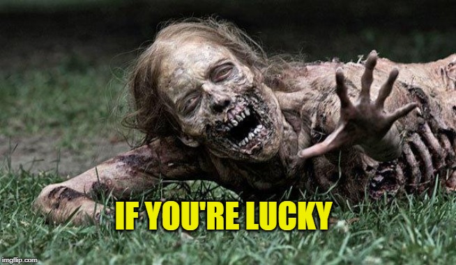 Walking Dead Zombie | IF YOU'RE LUCKY | image tagged in walking dead zombie | made w/ Imgflip meme maker