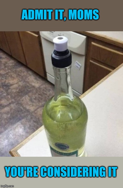 Why dirty a glass? | ADMIT IT, MOMS; YOU'RE CONSIDERING IT | image tagged in wine,water bottle | made w/ Imgflip meme maker