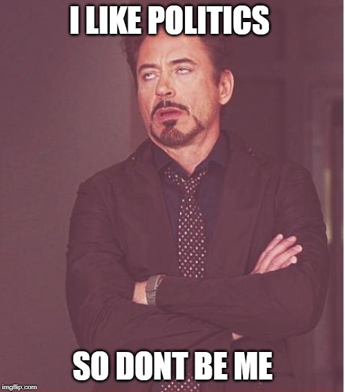 Face You Make Robert Downey Jr | I LIKE POLITICS; SO DONT BE ME | image tagged in memes,face you make robert downey jr | made w/ Imgflip meme maker