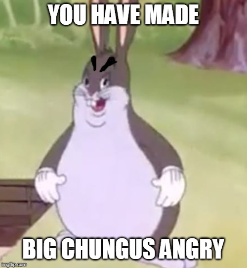 Big Chungus | YOU HAVE MADE BIG CHUNGUS ANGRY | image tagged in big chungus | made w/ Imgflip meme maker