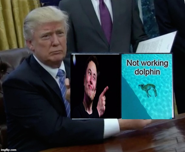 Stupid dolphin | Not working dolphin | image tagged in memes,trump bill signing | made w/ Imgflip meme maker