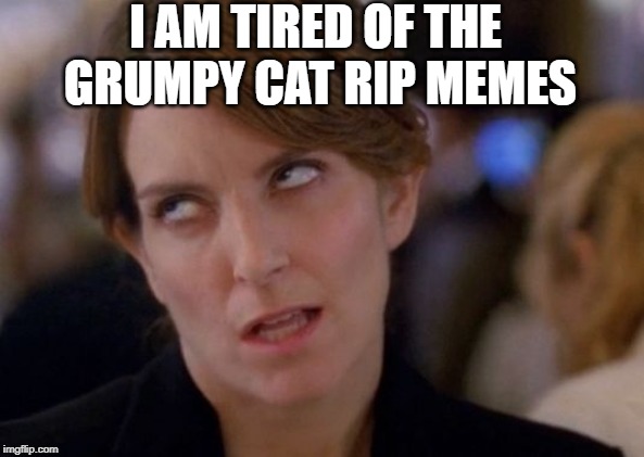 Tina Fey Eyeroll | I AM TIRED OF THE GRUMPY CAT RIP MEMES | image tagged in tina fey eyeroll | made w/ Imgflip meme maker