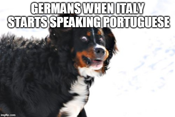 Crazy Dawg | GERMANS WHEN ITALY STARTS SPEAKING PORTUGUESE | image tagged in memes,crazy dawg | made w/ Imgflip meme maker