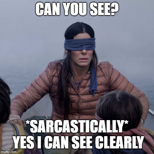when people ask if i can see when i'm blind folded | CAN YOU SEE? *SARCASTICALLY* YES I CAN SEE CLEARLY | image tagged in memes,bird box | made w/ Imgflip meme maker