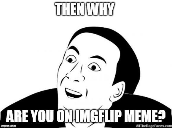 You Dont Say | THEN WHY ARE YOU ON IMGFLIP MEME? | image tagged in you dont say | made w/ Imgflip meme maker