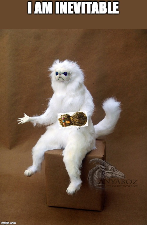 I AM INEVITABLE | I AM INEVITABLE | image tagged in memes,persian cat room guardian single | made w/ Imgflip meme maker