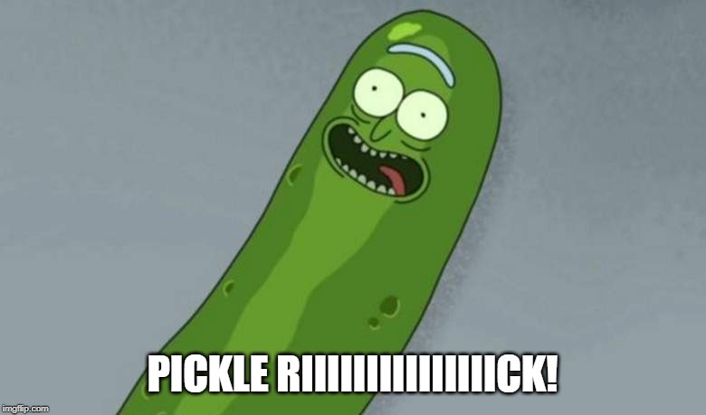 Pickle rick | PICKLE RIIIIIIIIIIIIIIICK! | image tagged in pickle rick | made w/ Imgflip meme maker