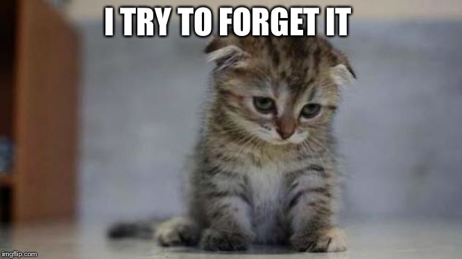 Sad kitten | I TRY TO FORGET IT | image tagged in sad kitten | made w/ Imgflip meme maker