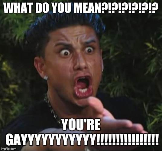 DJ Pauly D | WHAT DO YOU MEAN?!?!?!?!?!? YOU'RE GAYYYYYYYYYYY!!!!!!!!!!!!!!!! | image tagged in memes,dj pauly d | made w/ Imgflip meme maker