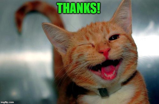 winky kitty | THANKS! | image tagged in winky kitty | made w/ Imgflip meme maker