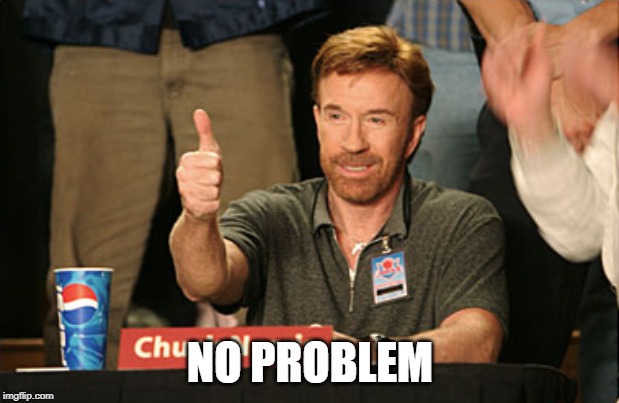 Chuck Norris Approves Meme | NO PROBLEM | image tagged in memes,chuck norris approves,chuck norris | made w/ Imgflip meme maker