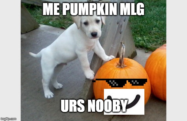 numnum am | ME PUMPKIN MLG; URS NOOBY | image tagged in numnum am | made w/ Imgflip meme maker