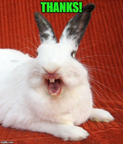 laughing rabbit | THANKS! | image tagged in laughing rabbit | made w/ Imgflip meme maker