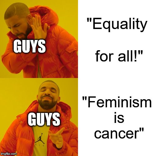 Drake Hotline Bling Meme | "Equality for all!"; GUYS; "Feminism is cancer"; GUYS | image tagged in memes,drake hotline bling | made w/ Imgflip meme maker
