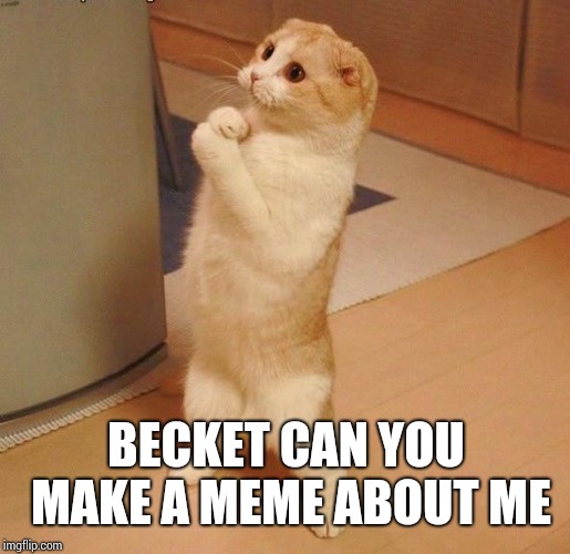 asking cat | BECKET CAN YOU MAKE A MEME ABOUT ME | image tagged in asking cat | made w/ Imgflip meme maker