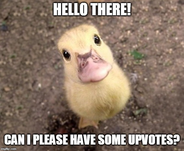 HELLO THERE! CAN I PLEASE HAVE SOME UPVOTES? | made w/ Imgflip meme maker