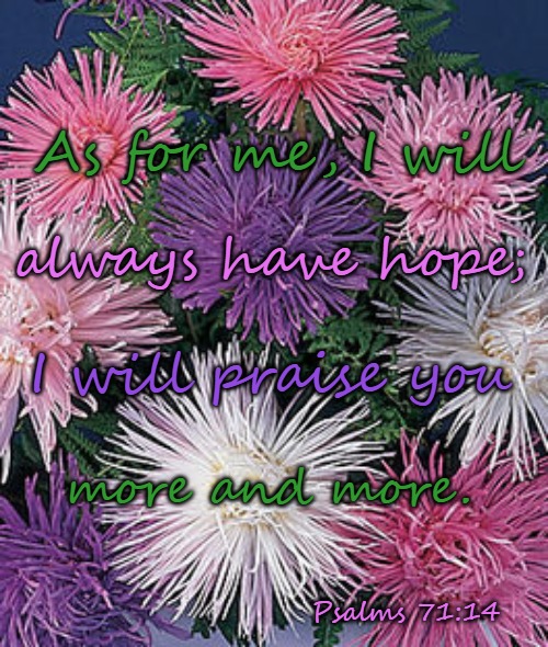 Psalms 71:14 As For Me I Will Always Have Hope | As for me, I will; always have hope;; I will praise you; more and more. Psalms 71:14 | image tagged in bible,bible verse,verse,holy bible,holy spirit,god | made w/ Imgflip meme maker