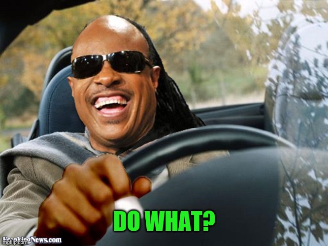 Stevie Wonder Driving | DO WHAT? | image tagged in stevie wonder driving | made w/ Imgflip meme maker