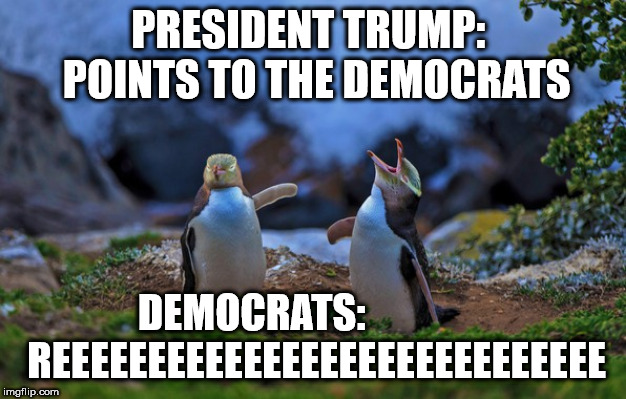 Trump triggers Democrats | PRESIDENT TRUMP:  POINTS TO THE DEMOCRATS; DEMOCRATS:                REEEEEEEEEEEEEEEEEEEEEEEEEEEEE | image tagged in president trump,democrats,penguins,reeeeeeeeeeeeeeeeeeeeee | made w/ Imgflip meme maker