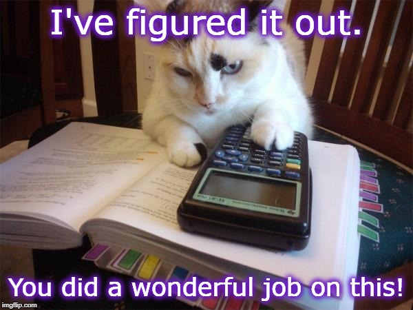 Math cat | I've figured it out. You did a wonderful job on this! | image tagged in math cat | made w/ Imgflip meme maker